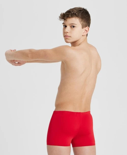 Arena Team Swim Shorts Solid