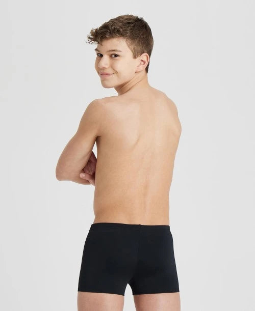 Arena Team Swim Short Solid