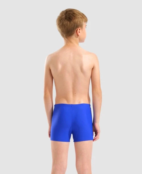 Arena Team Swim Short Solid