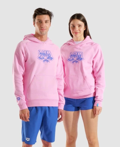 Unisex arena Logo Hoodie