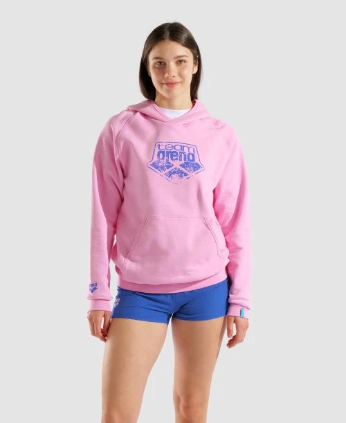 Unisex arena Logo Hoodie