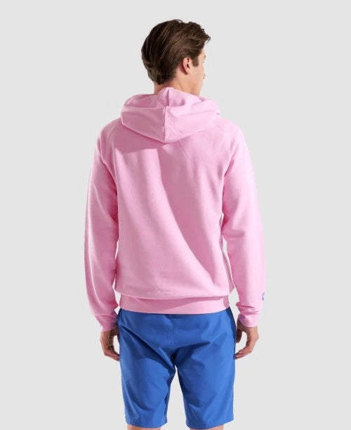 Unisex arena Logo Hoodie