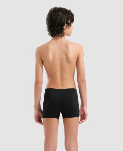 Swim Short arena Graphic